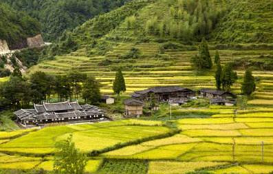 你知道大米都有哪些種類和又都有哪些區(qū)別嗎？